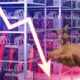 Ingreso de los mineros de Bitcoin cae a mínimos no vistos desde noviembre del 2020