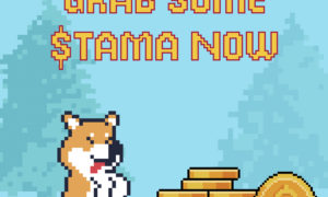 Tamadoge regala 100.000 dólares a quienes hagan esto: ¿cómo participar?