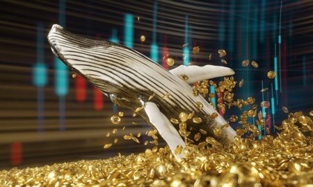 Ahorristas de bitcoin con más de USD 100.000 huyen a wallets de autocustodia