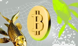 Bitcoin Core se actualiza de nuevo 2 semanas después de su última versión