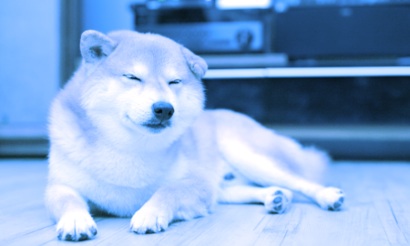 Dogecoin se Desploma 9% Tras Debilidad del Mercado General