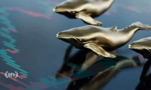 España: Puerto Celeiro usará blockchain para certificar pesca sostenible de merluzas