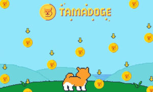 Tamadoge lanzó 1000 NFT raros hoy: ¿mejor drop de NFT de 2022?