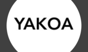 Yakoa obtiene 4,8 millones de dólares de inversores para desarrollar una herramienta de detección de fraudes NFT