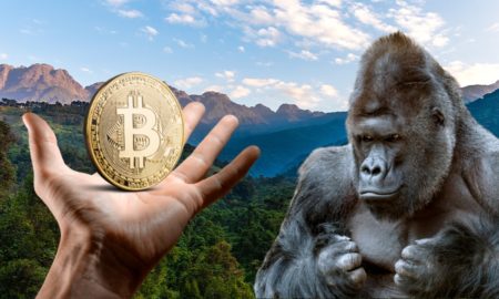 Con bitcoin quieren salvar al parque silvestre más antiguo de África