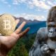 Con bitcoin quieren salvar al parque silvestre más antiguo de África