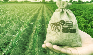 Fluidity: De qué forma Retribuir a los Usuarios de DeFi (Y No a Los Labradores de Rendimiento)