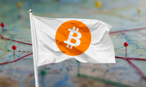 Las ciudadelas de bitcoin se multiplicaron en dos mil veintidos ¿qué es lo que significa esto para el mundo?