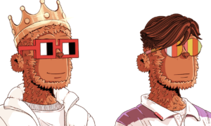 Polygon Pagó a la Compilación NFT de y00ts $ 3 Millones Por Abandonar Solana