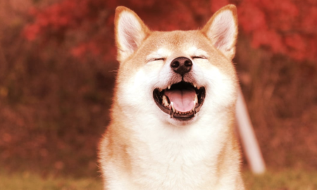 La Semana en Cripto: Bitcoin "Subsiste" a la FED. Render y Shiba Inu Explotan