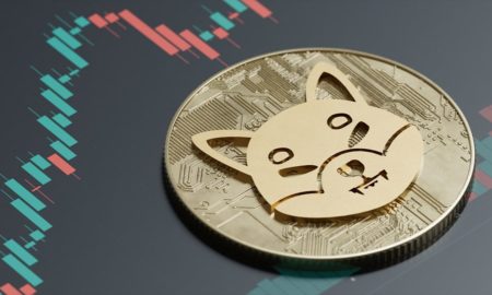 Shiba Inu (SHIB) duplica el incremento de Dogecoin (DOGE) este dos mil veintitres